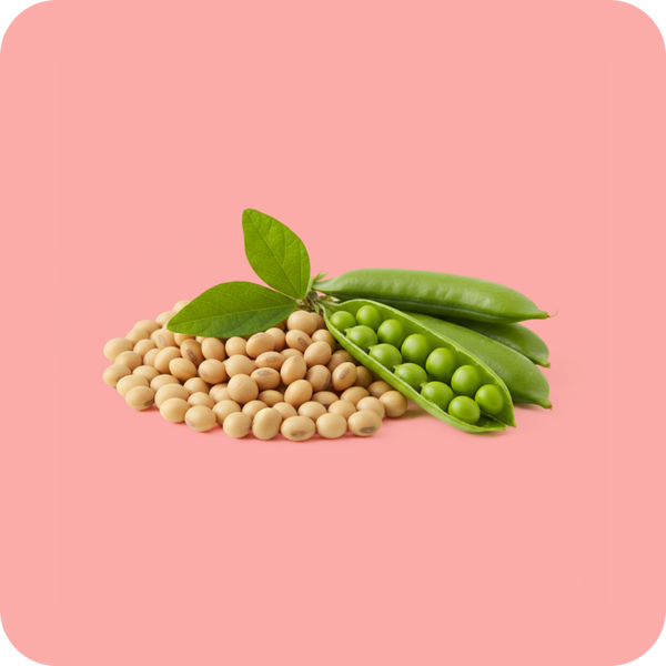 Soy + Pea Protein